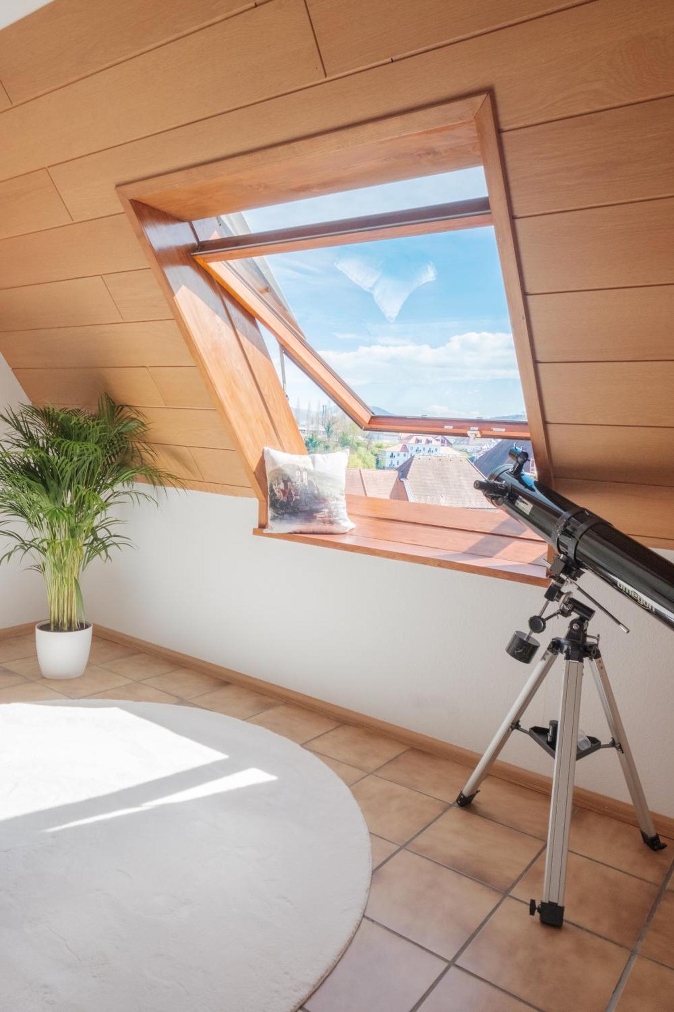 Neu Deluxe Suite Muensterblick, Maisonette, Kingsize Bett, Kueche, Netflix, Aussicht, E-Kamin Bad Sackingen Luaran gambar